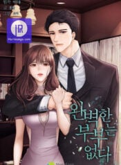 There Is No Perfect Married Couple Manga